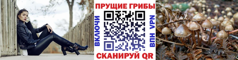 blacksprut ССЫЛКА  Ивантеевка  Псилоцибиновые грибы мухоморы 