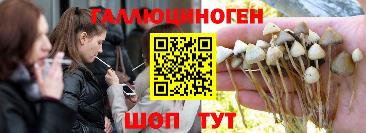 Галлюциногенные грибы ЛСД  купить  цена  Ивантеевка  Галлюциногенные грибы Psilocybe  Вход с VPN 